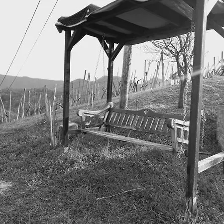 Bellevue Mini House Zetale