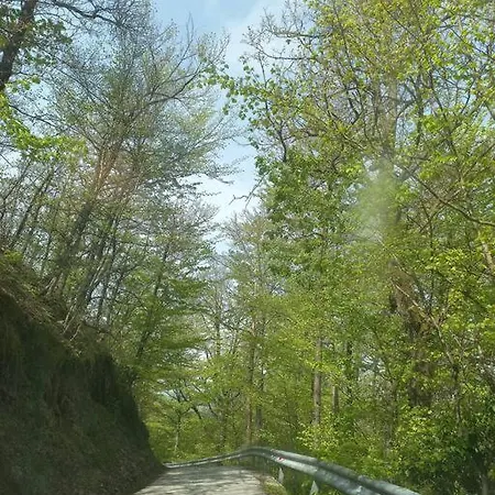 Campismo de Luxo Bellevue Mini House