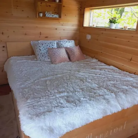 Bellevue Mini House Zetale