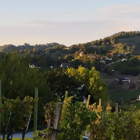 Bellevue Mini House Zetale