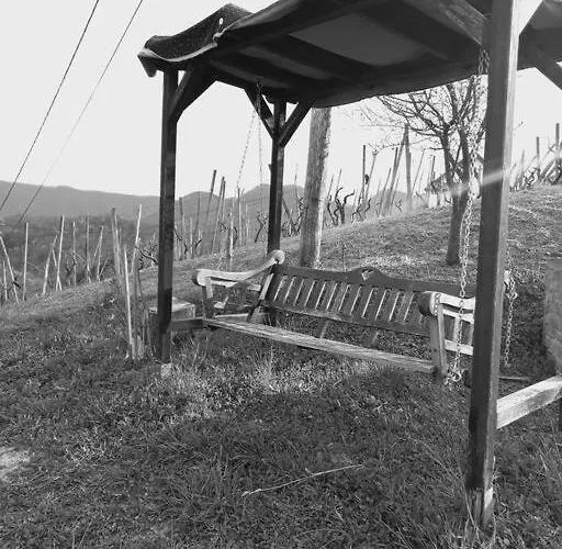 Bellevue Mini House Zetale