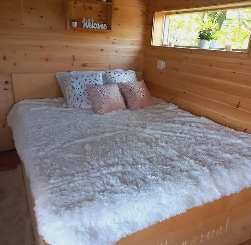 Bellevue Mini House Zetale