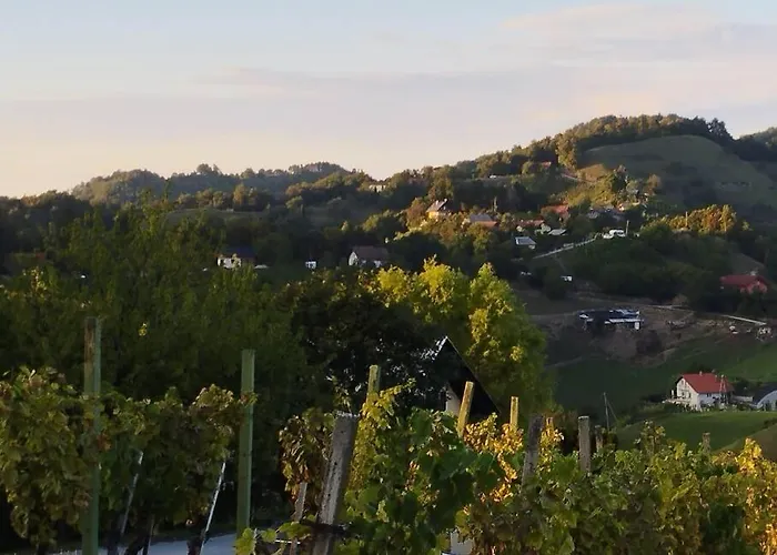 Bellevue Mini House Zetale